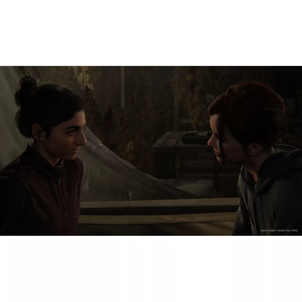 Jeu Ps4 The Last Of Us 2 couleur unique, SONY