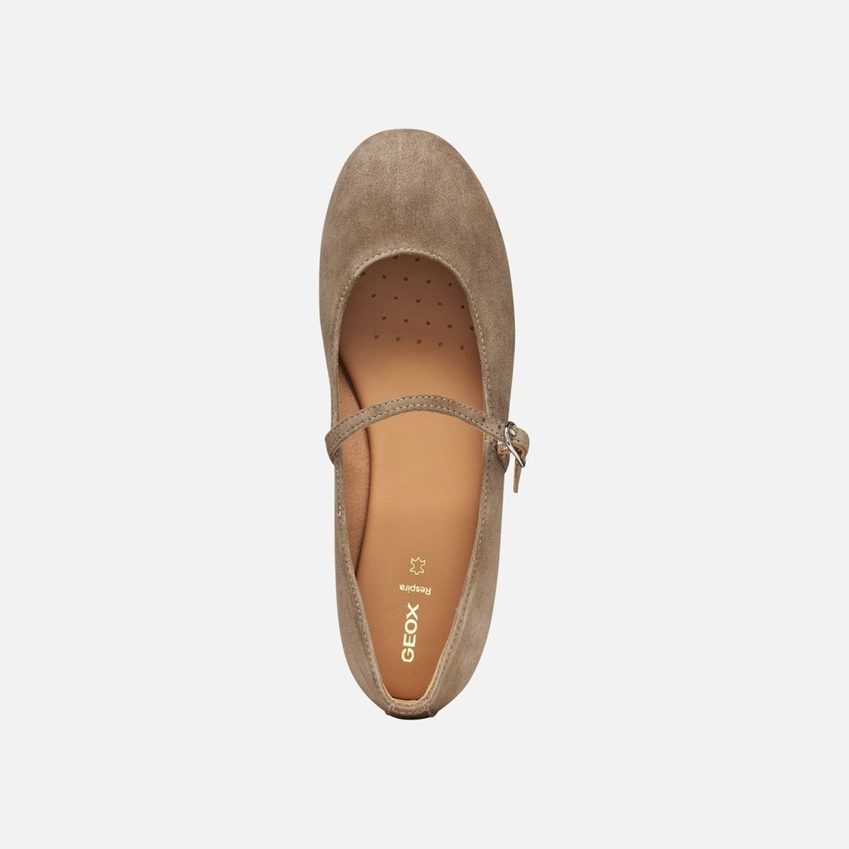 Ballerines  D NEW PALMARIA taupe, GEOX