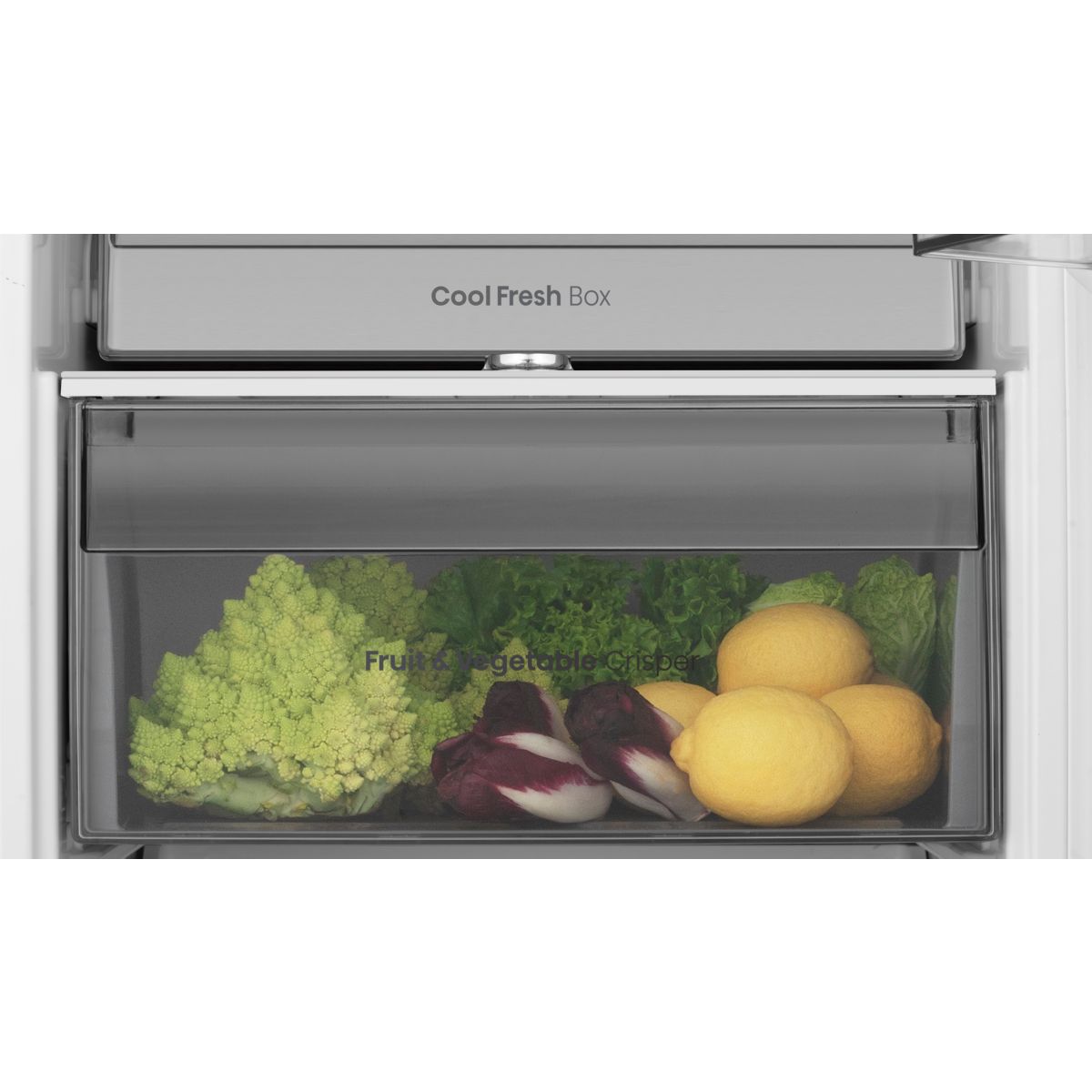 Réfrigérateur 1 porte encastrable RL3B303SAWE MetalTechCooling couleur unique, HISENSE