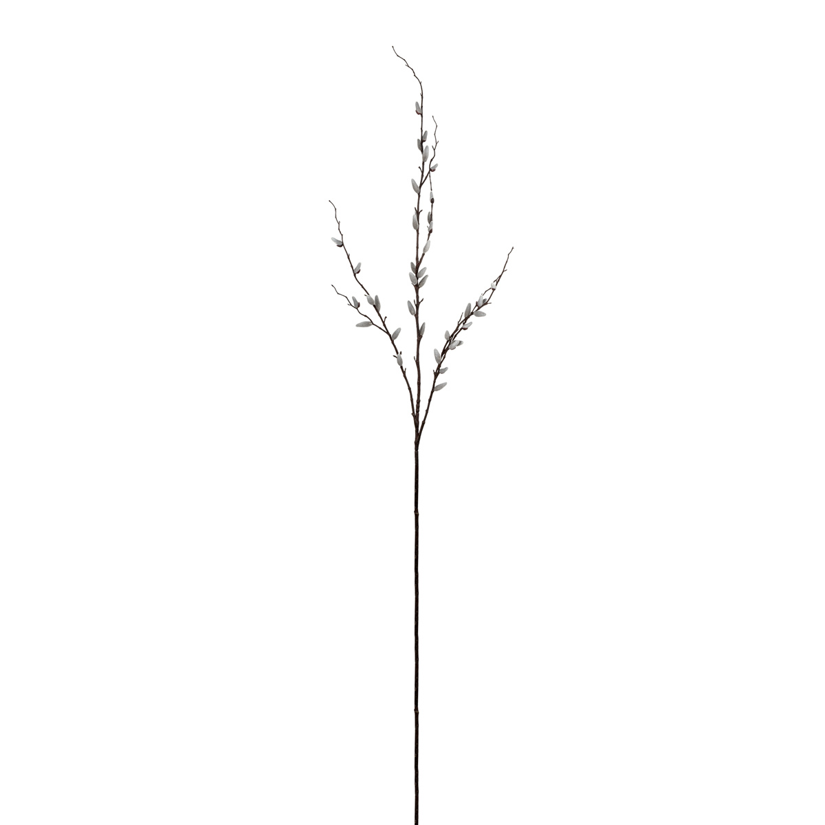 Branche de saule artificielle H155 crème, SIA DECO