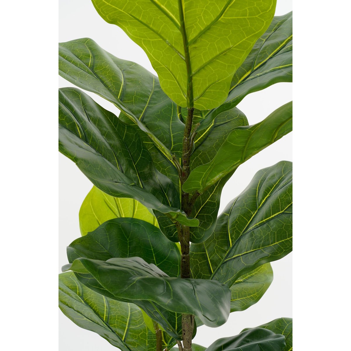 Plante artificielle FICUS vert, MICA DECORATIONS