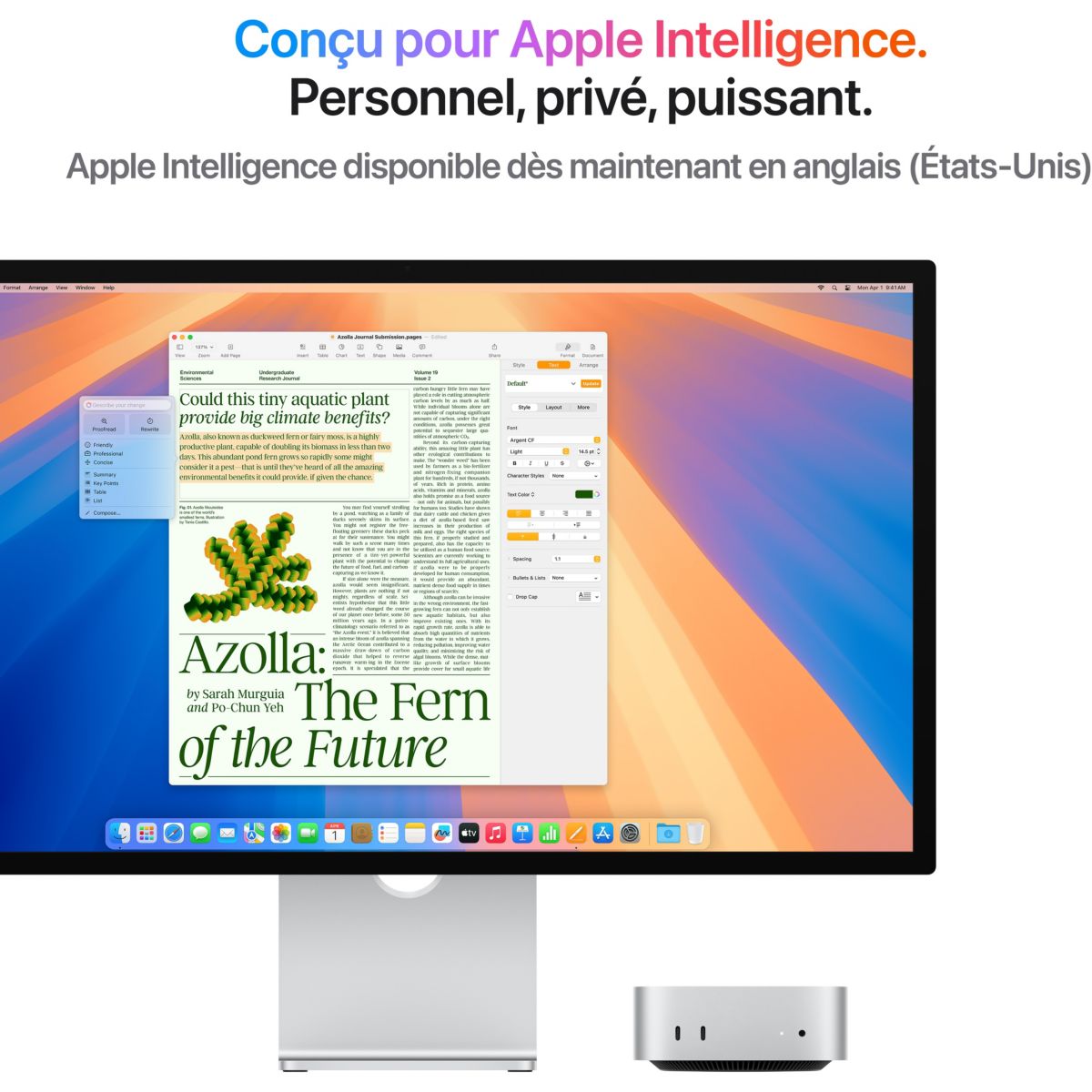 Ordinateur Apple MINI Puce M4 Pro CPU 12 / GPU 16 coeurs Mémoire RAM 24Go Stockage 512Go SSD Argent couleur unique, APPLE