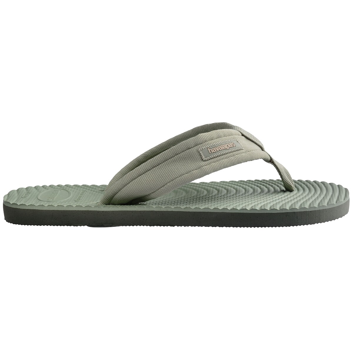 Infradito Surfer Coast kaki, HAVAIANAS