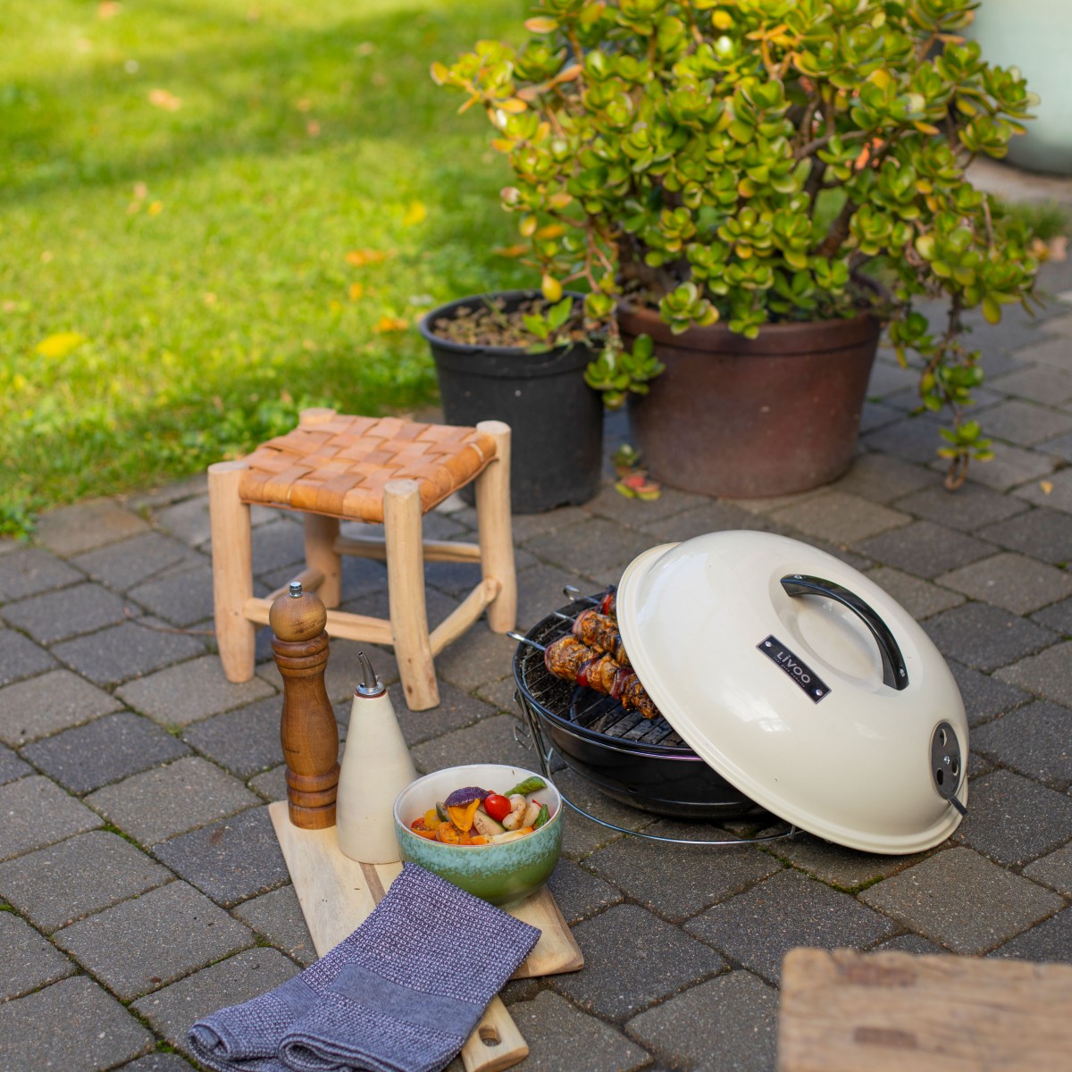 Barbecue à charbon portable couleur unique, LIVOO