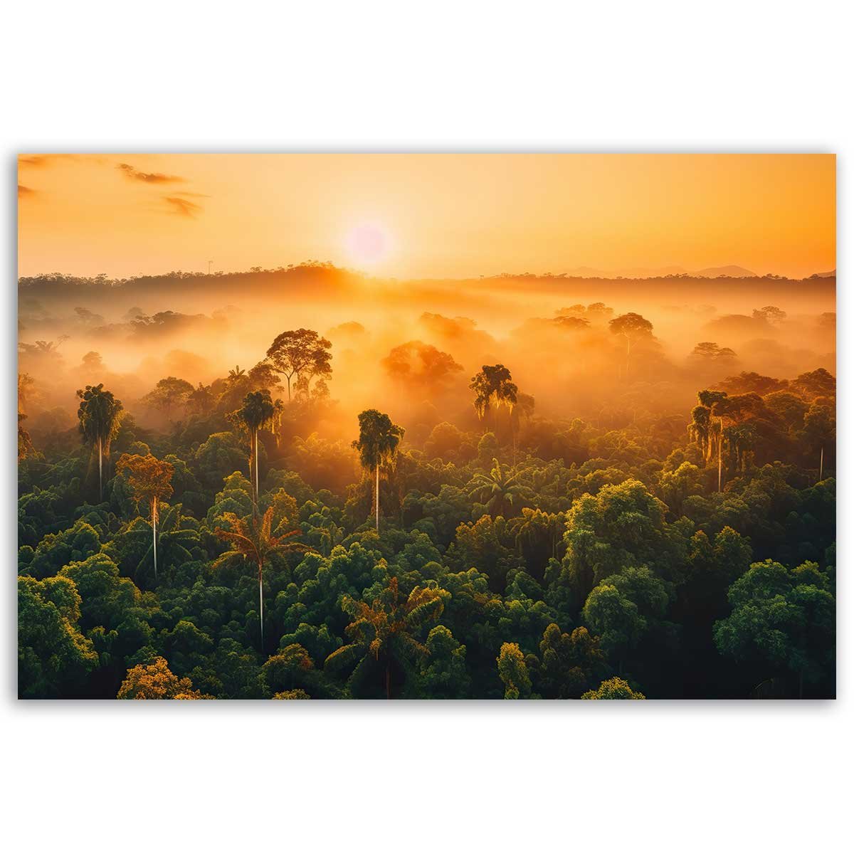 Tableau jungle au lever du soleil toile imprimée, HEXOA