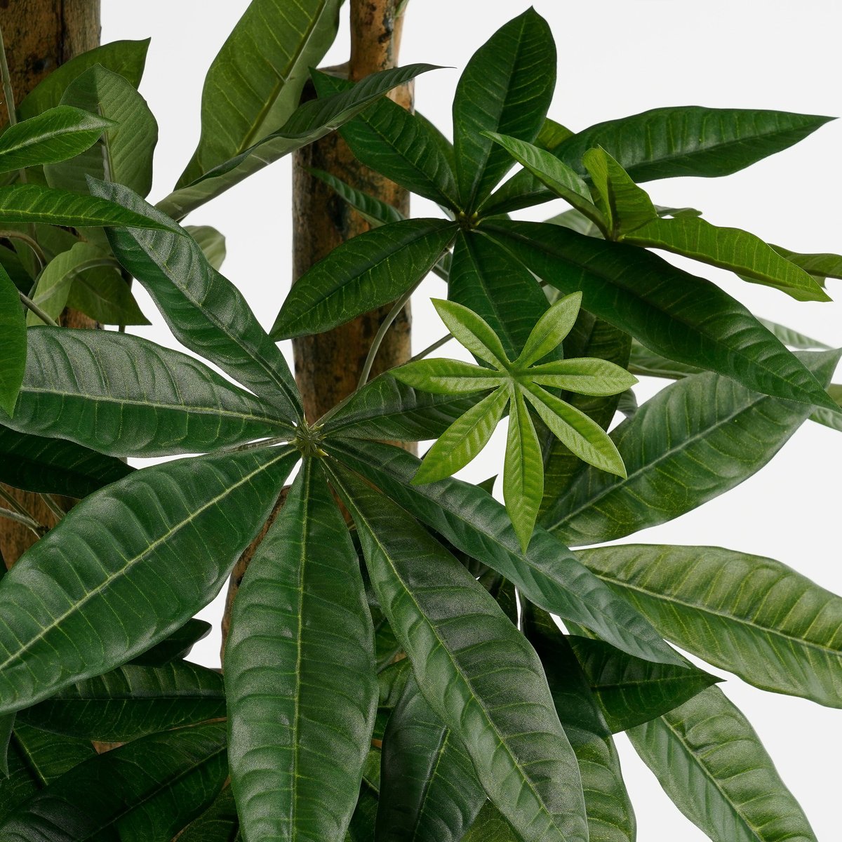 Plante artificielle PACHIRA vert, MICA DECORATIONS