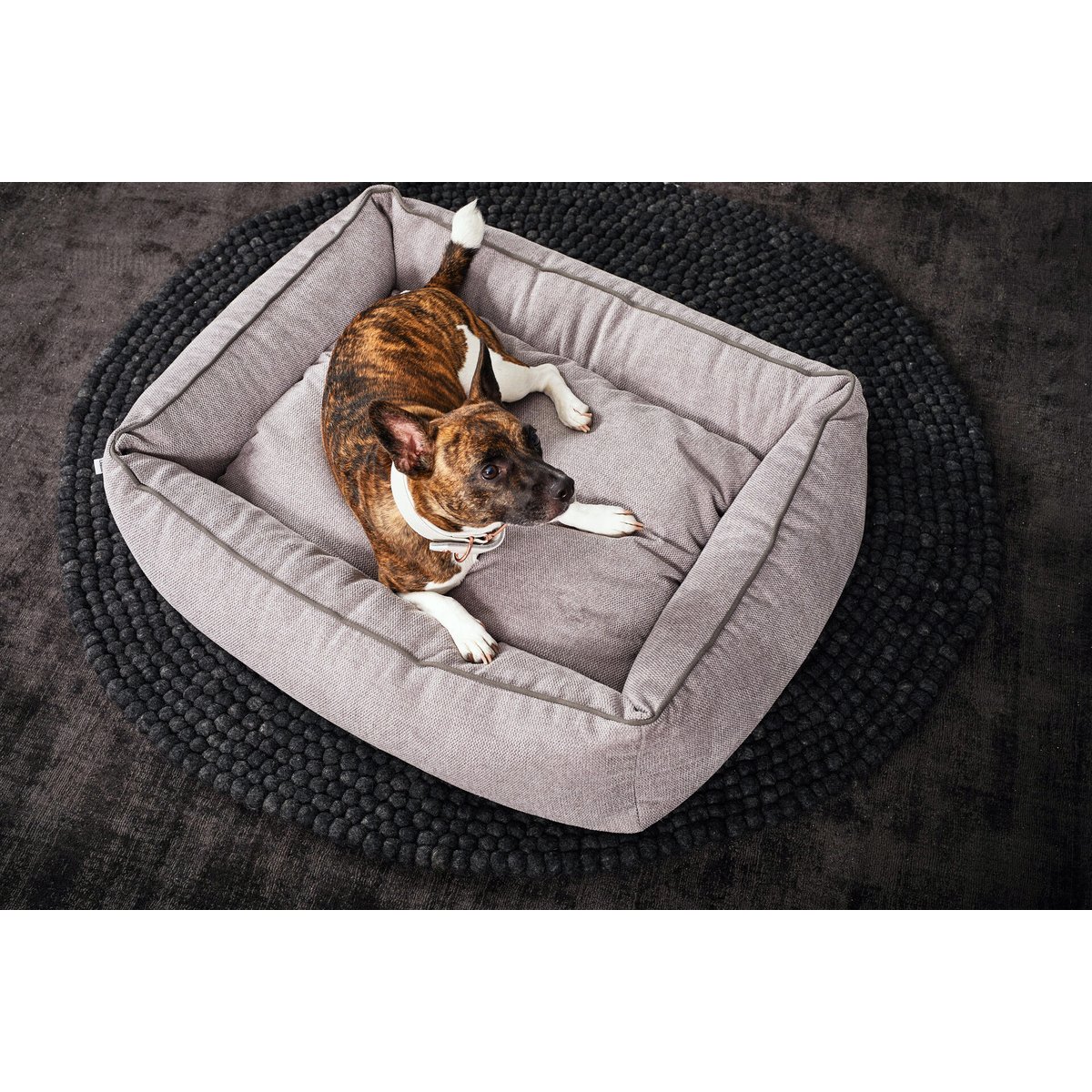 Panier design pour chiens ECO gris, LABONI