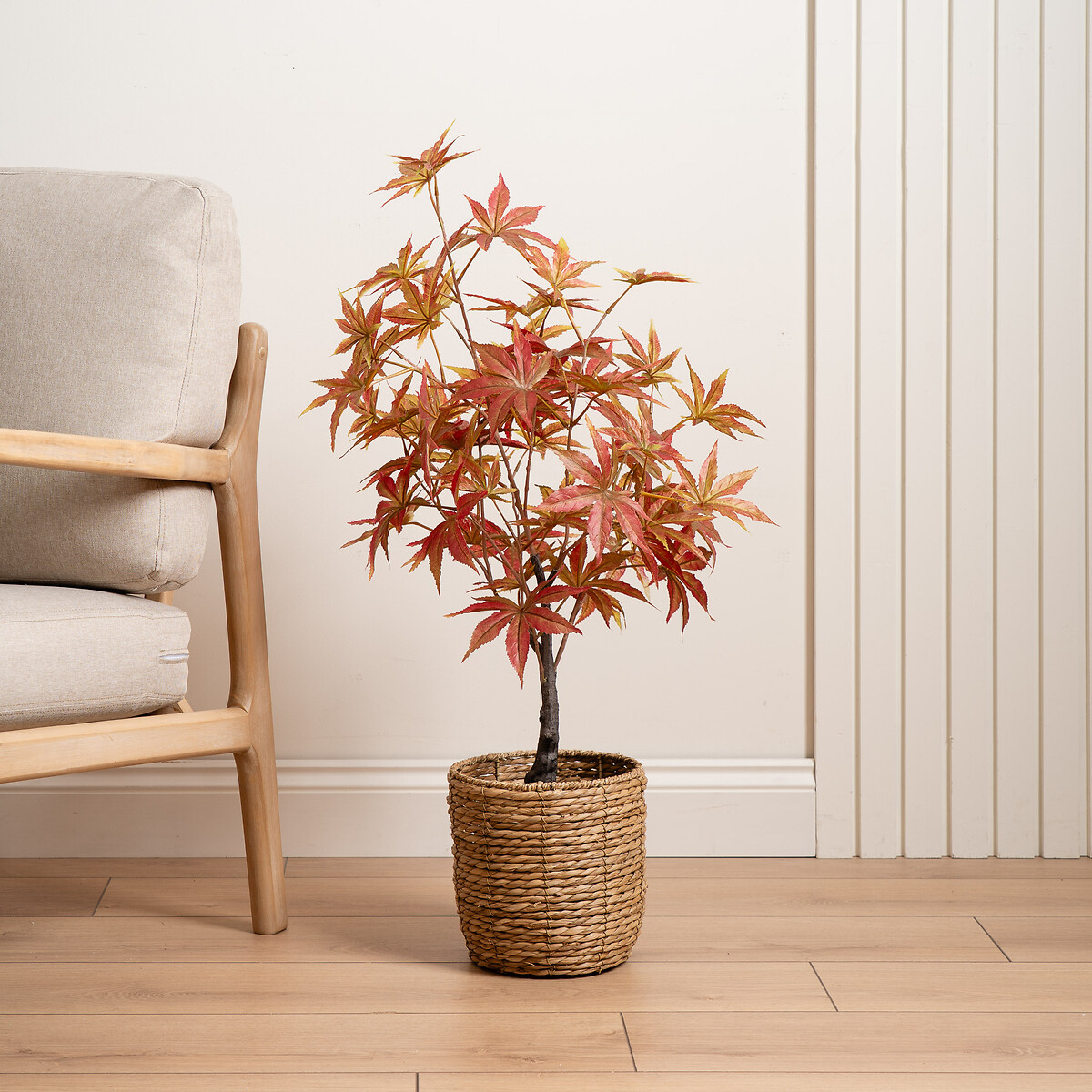 90cm Red Acer Tree red, SO'HOME