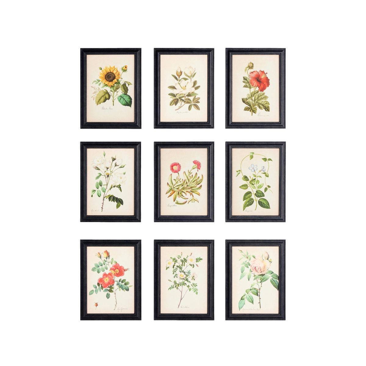 Cadre mural à motif floral texturé, lot de 9 multi-couleurs, NEXT