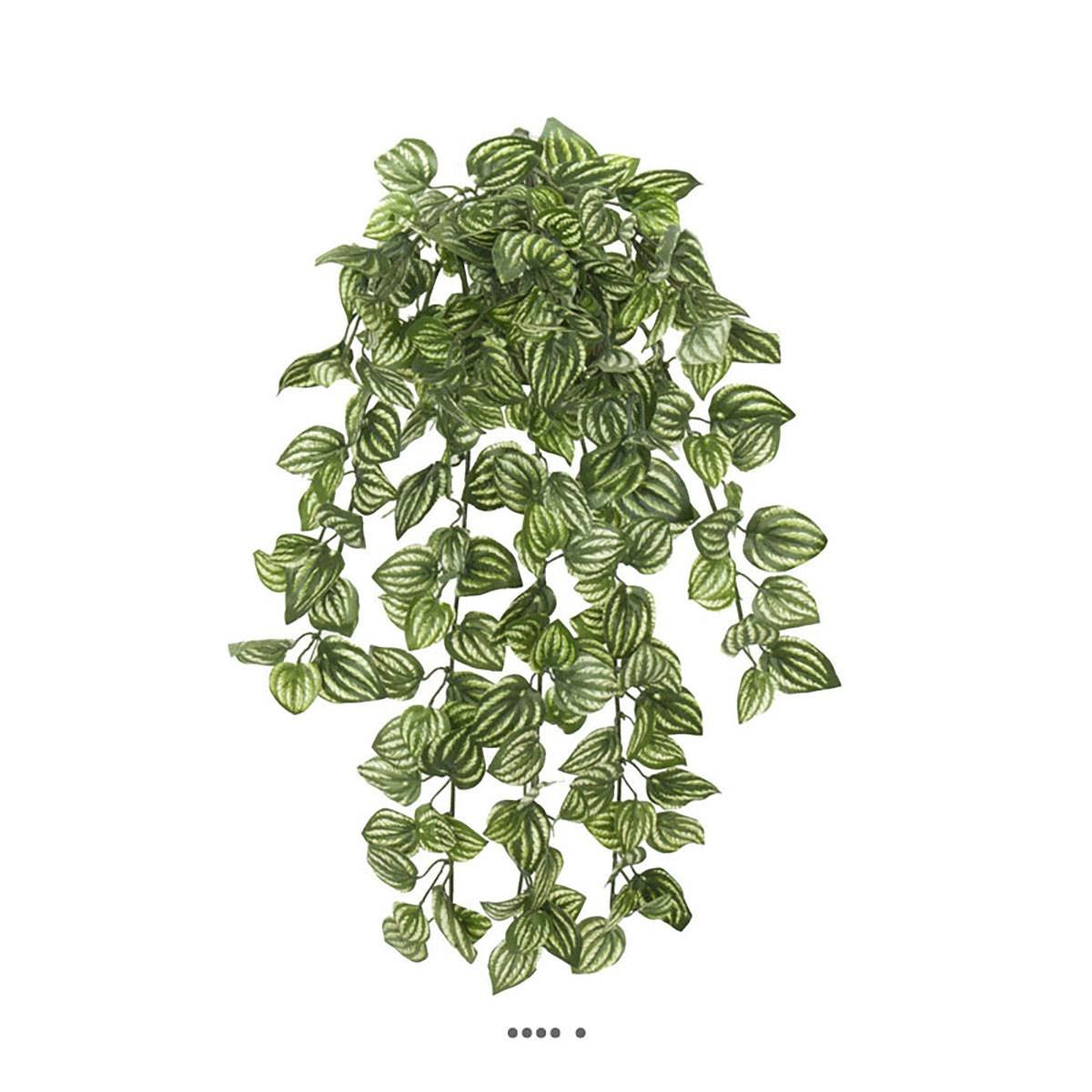 Chute d'Aphelandra artifici v002239, ARTIFICIELLES