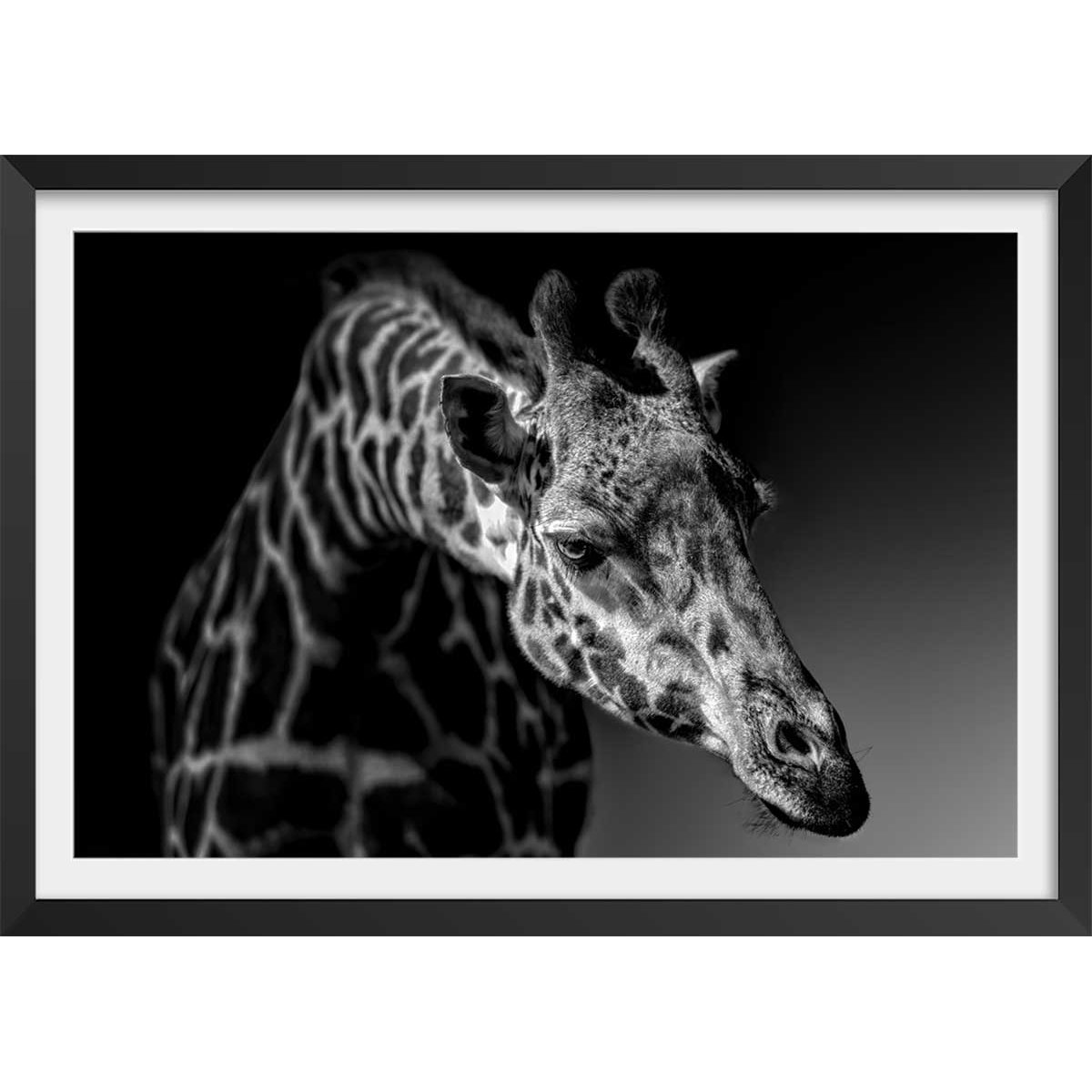 Affiche animaux girafe discrète affiche + cadre en bois - noir, HEXOA