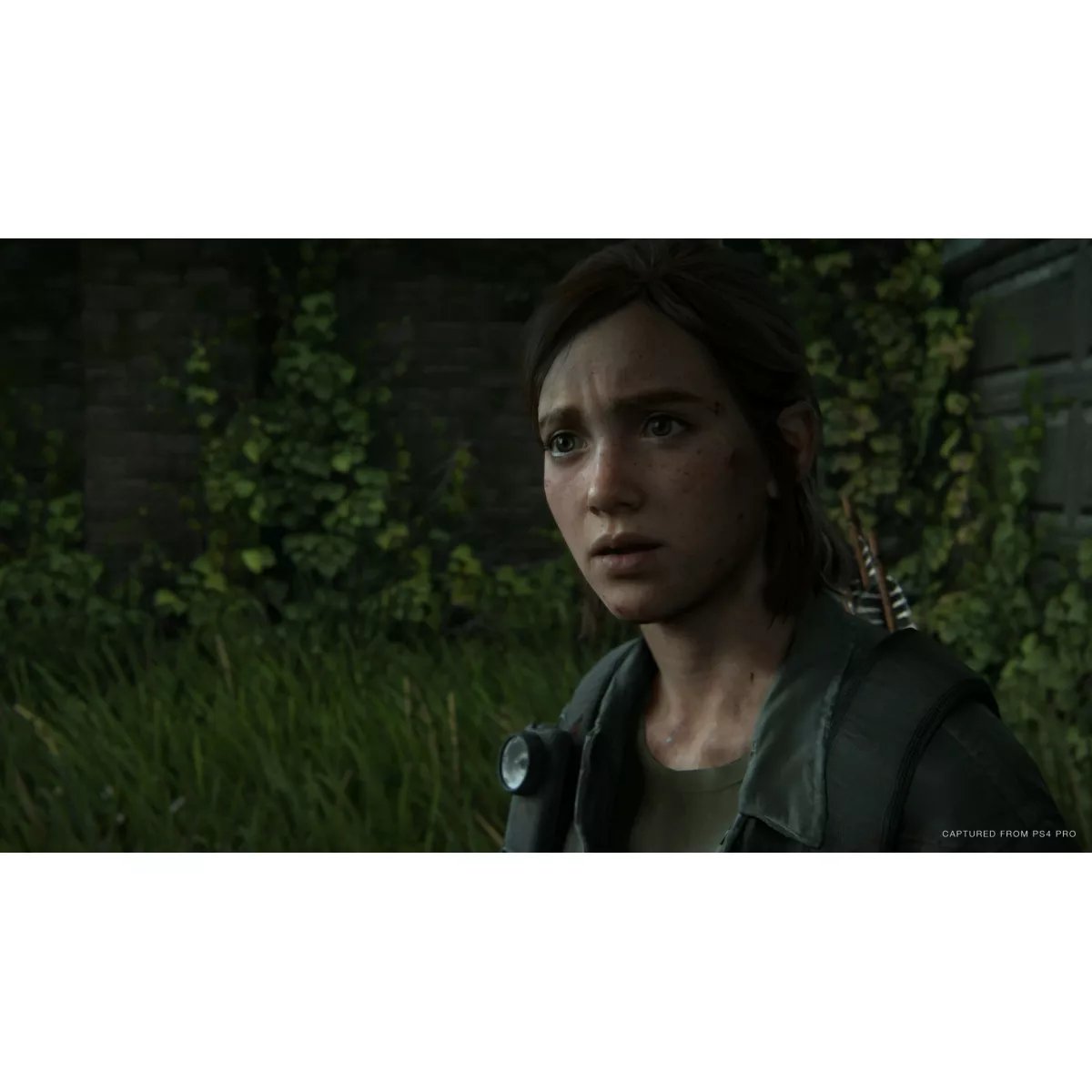 Jeu Ps4 The Last Of Us 2 couleur unique, SONY