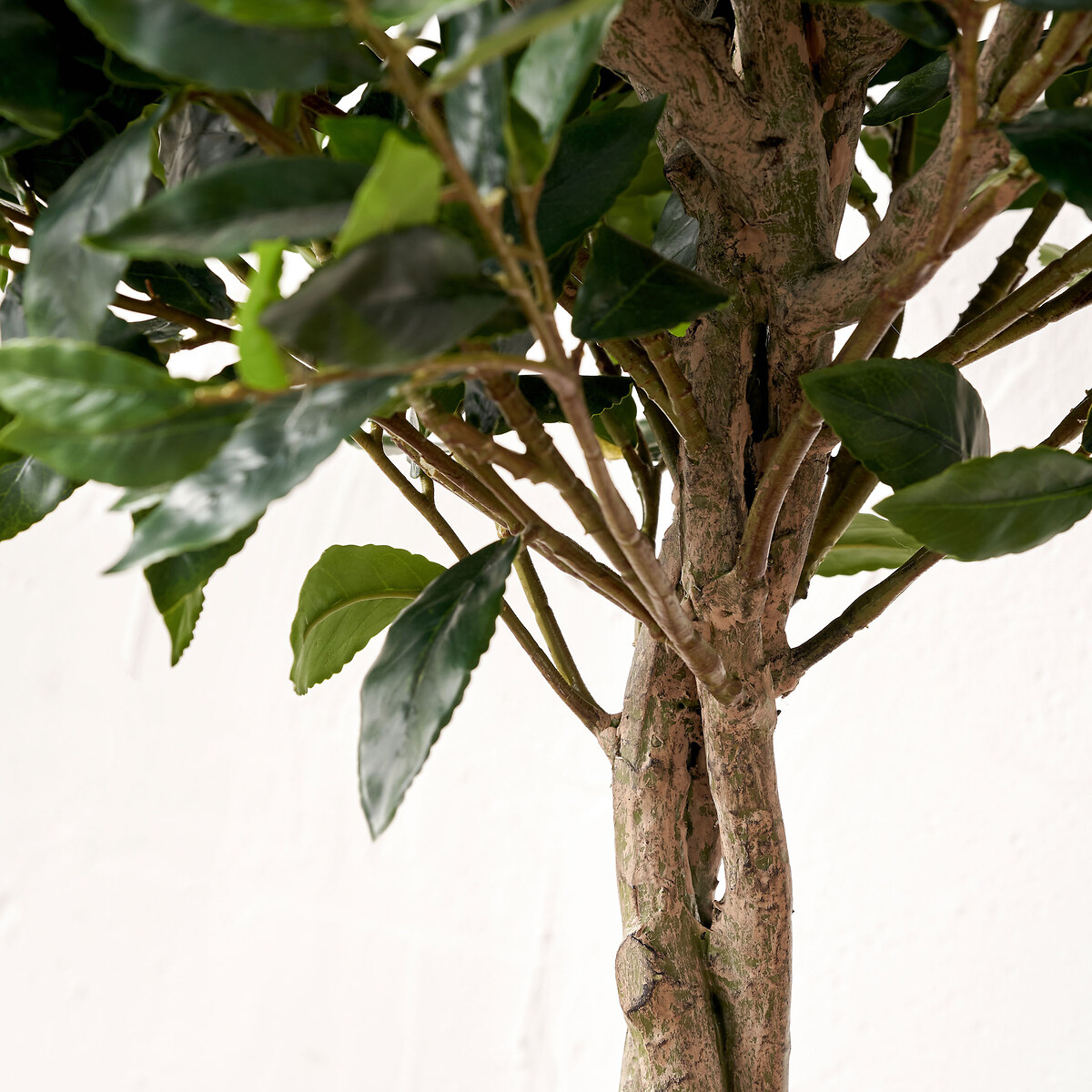 150cm Bay Tree in Pot green, ÉDITÉ