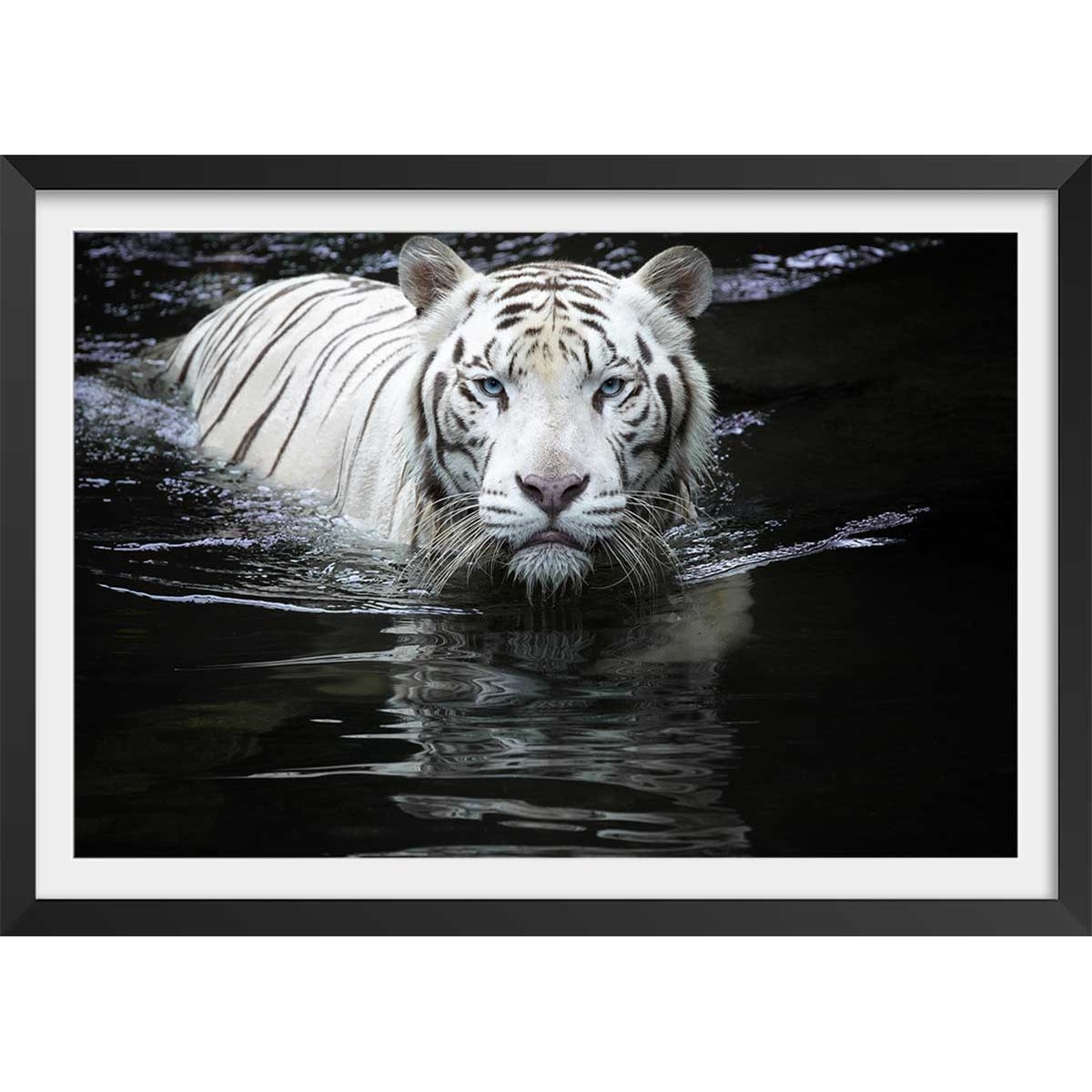 Affiche tigre Regarde moi... affiche + cadre en bois - noir, HEXOA