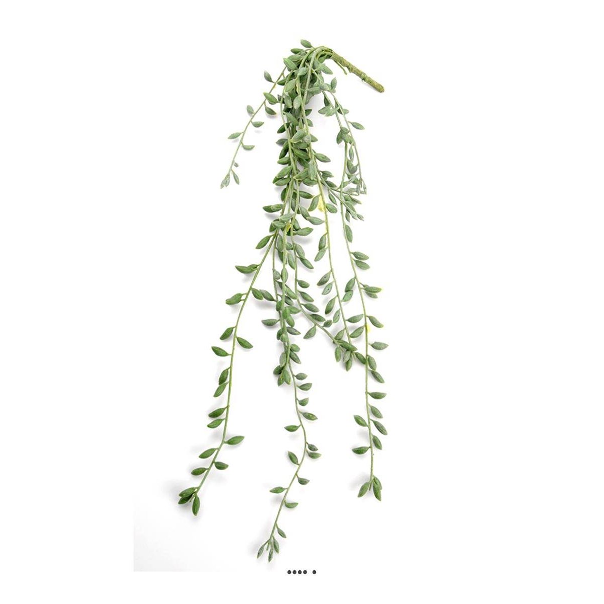 Chute de Senecio artificiel, L 52 cm, D 15 v002239, ARTIFICIELLES