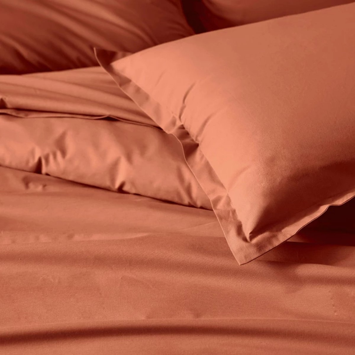 Drap plat en 100% coton biologique terracotta, TRADILINGE