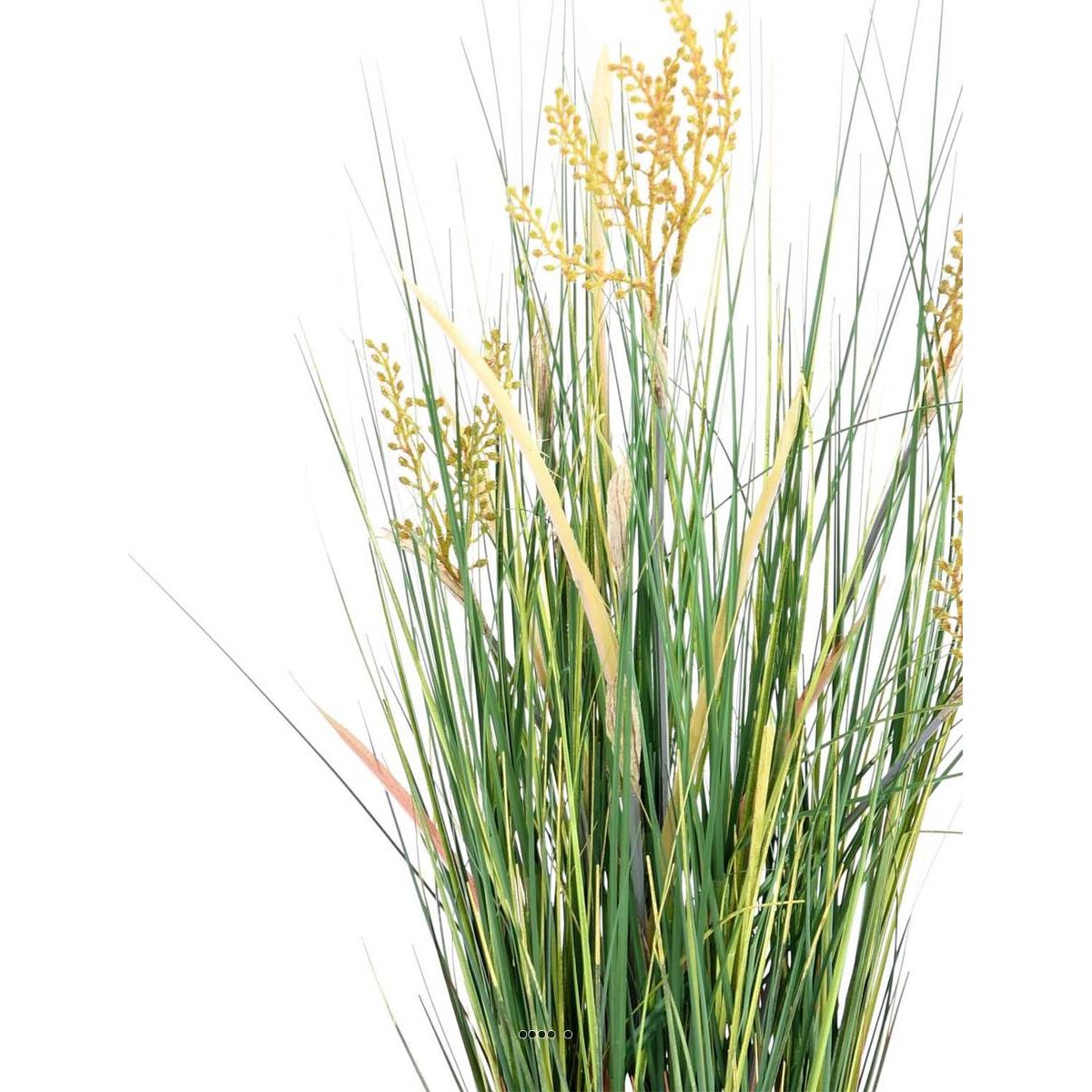 Isolepsis artificiel Graminée Papyrus scirpes v002239, ARTIFICIELLES