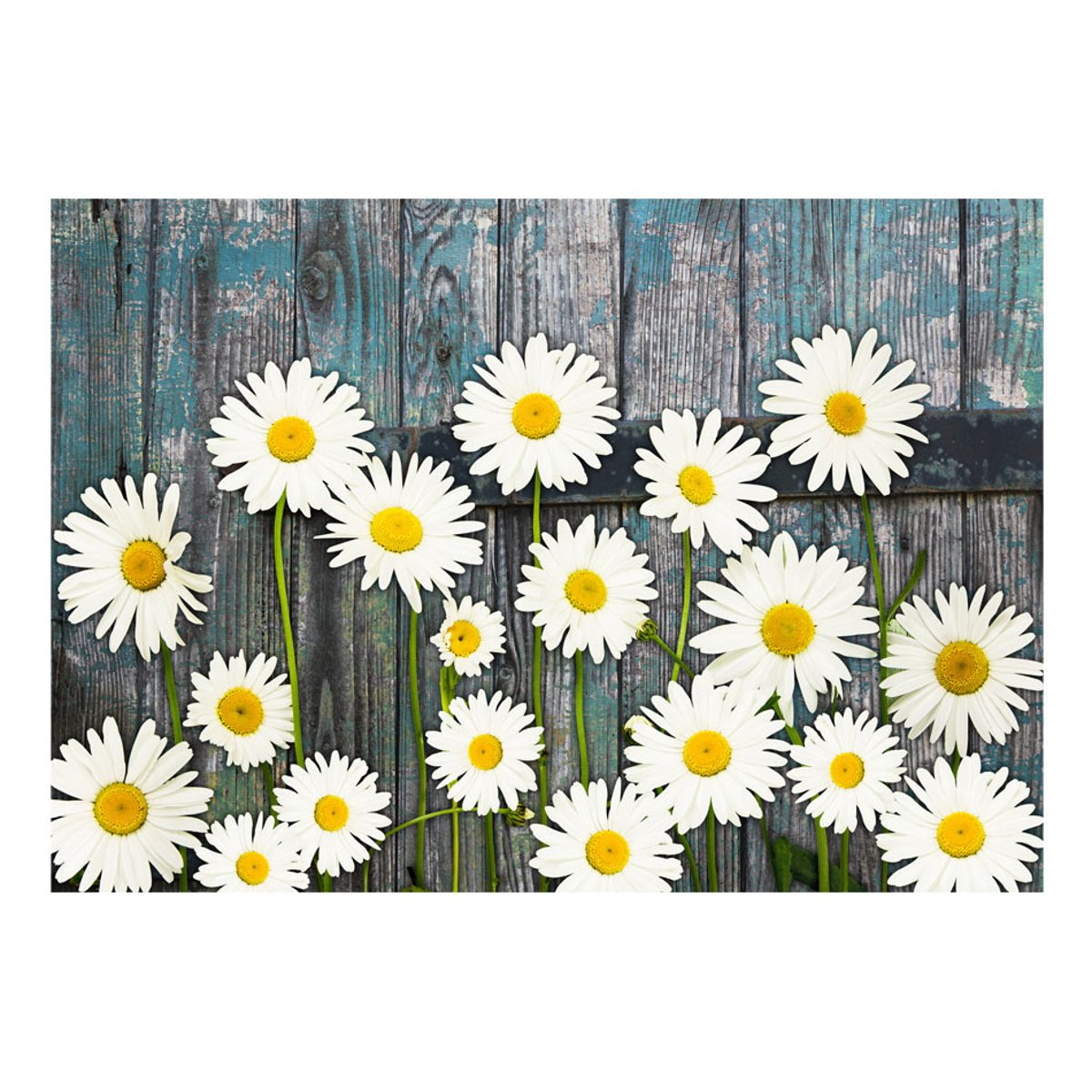 Papier peint intissé panoramique Fleurs Return to the Innocence bleu, EDEN