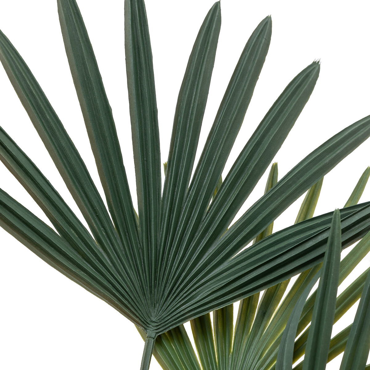 117cm Potted Statement Palm grey, ÉDITÉ