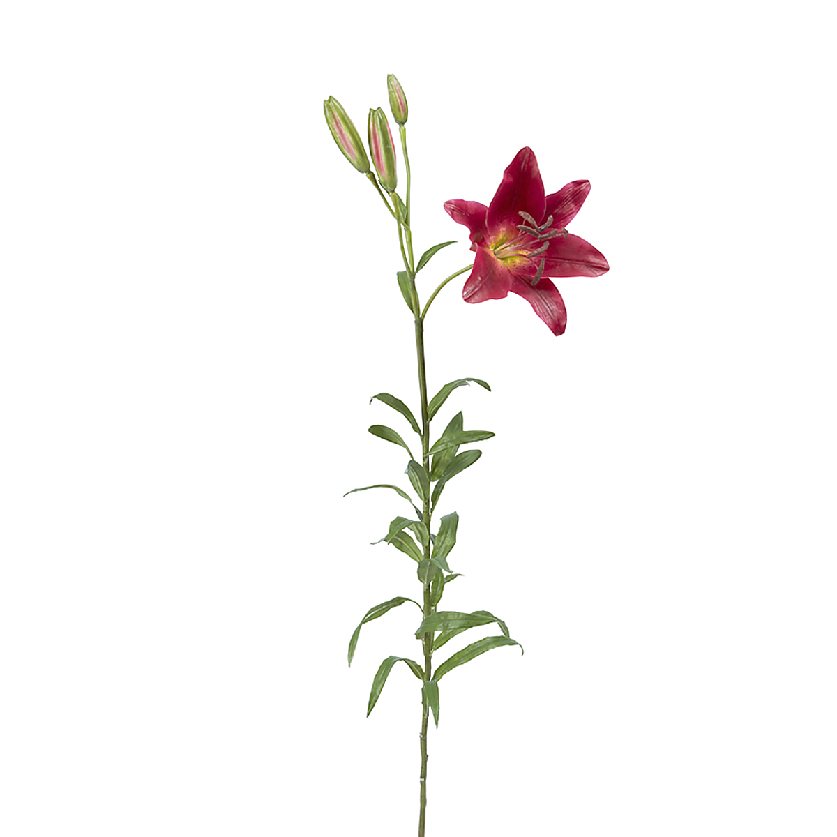 Tige de lily rubrum artificielle H98 ELSA rouge, SIA DECO