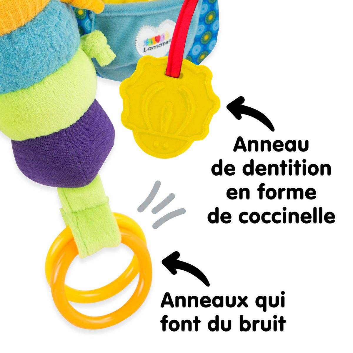 Freddie la luciole luciole, LAMAZE