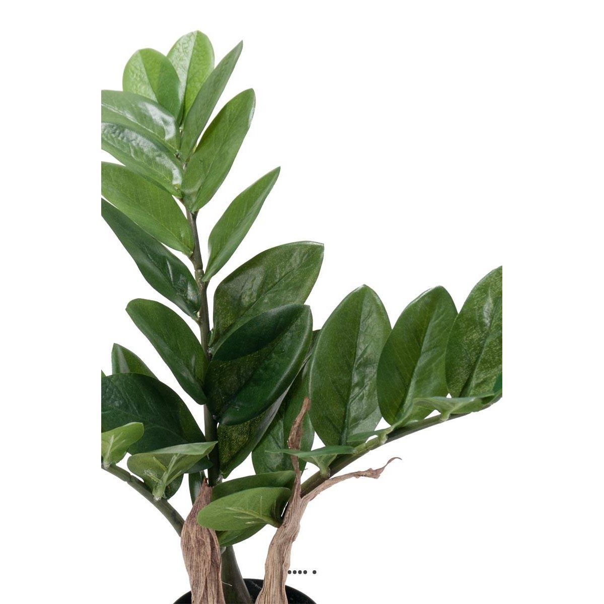 Zamioculcas zamiifolia artificiel en pot v002239, ARTIFICIELLES