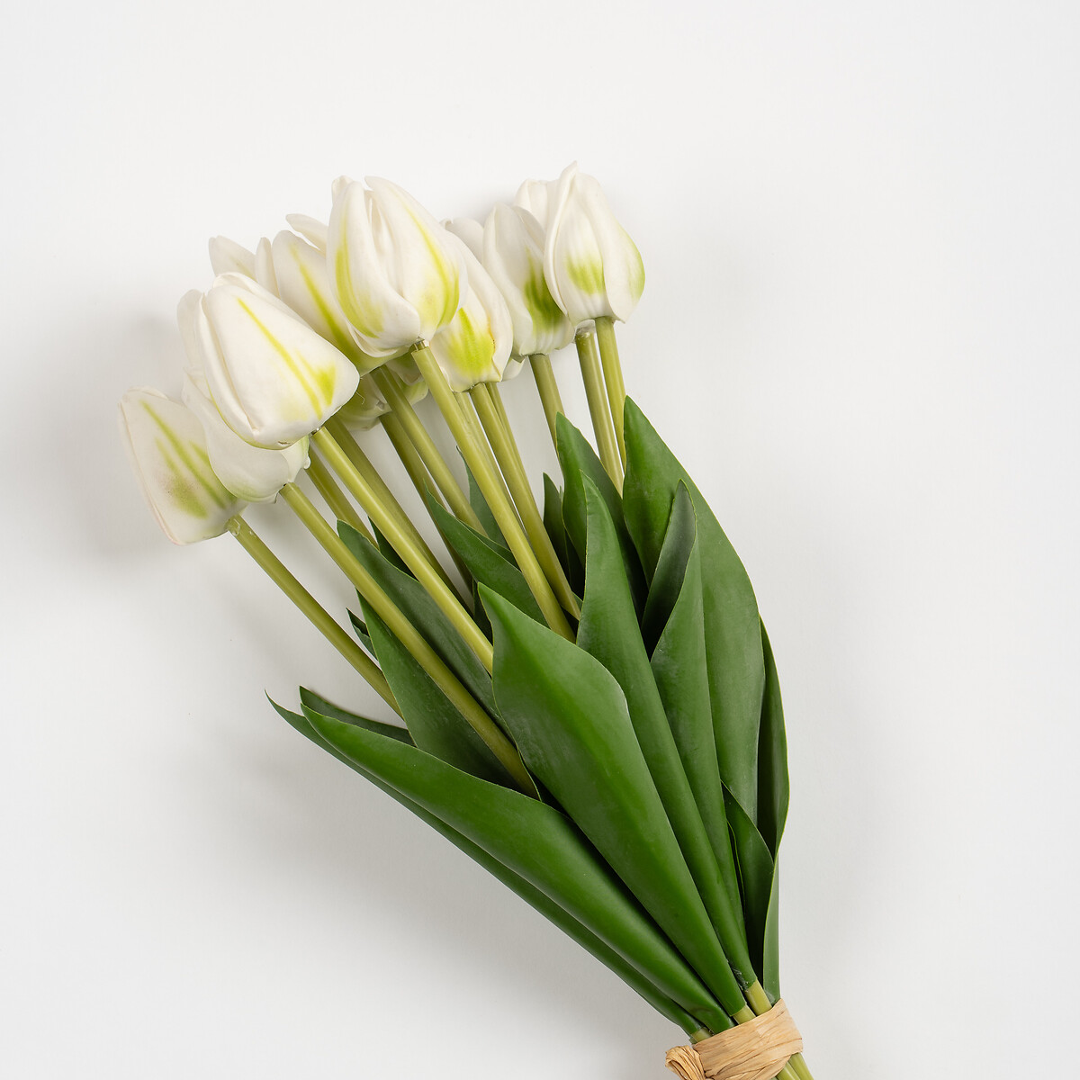 14-Stem White Tulip Bundle white, SO'HOME