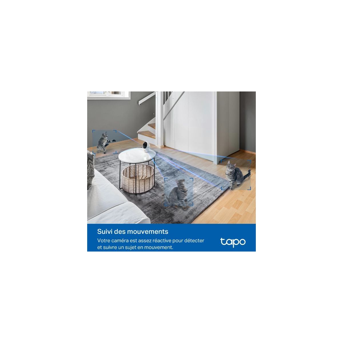 Caméra de surveillance Tapo C260 couleur unique, TP-LINK