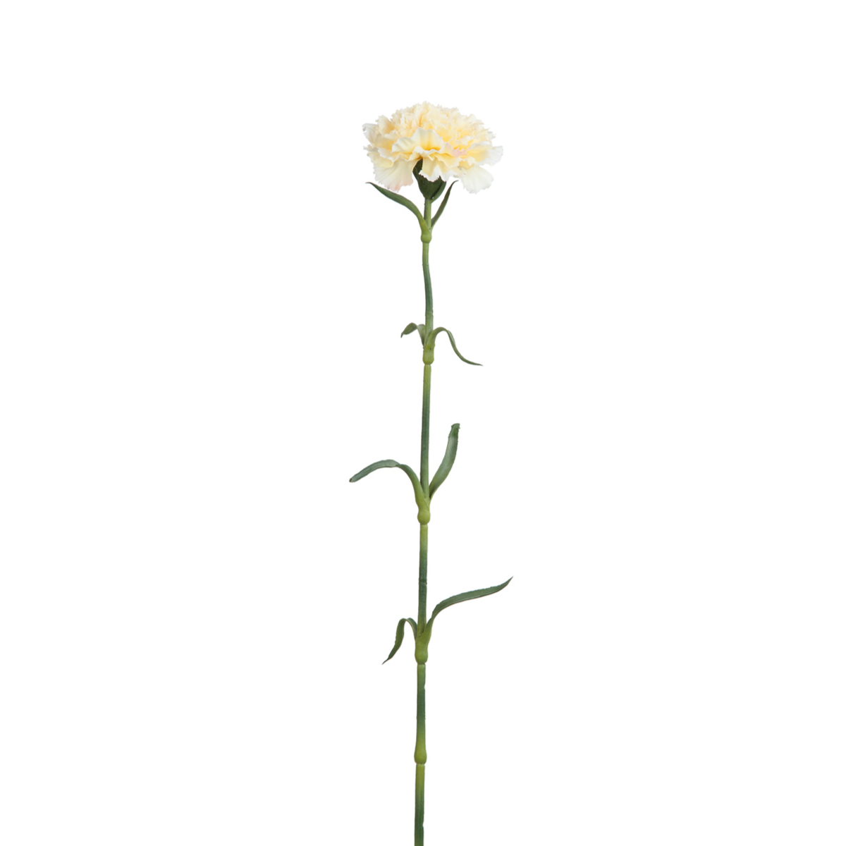 Tige d'œillet artificielle avec feuillage H55 crème, SIA DECO