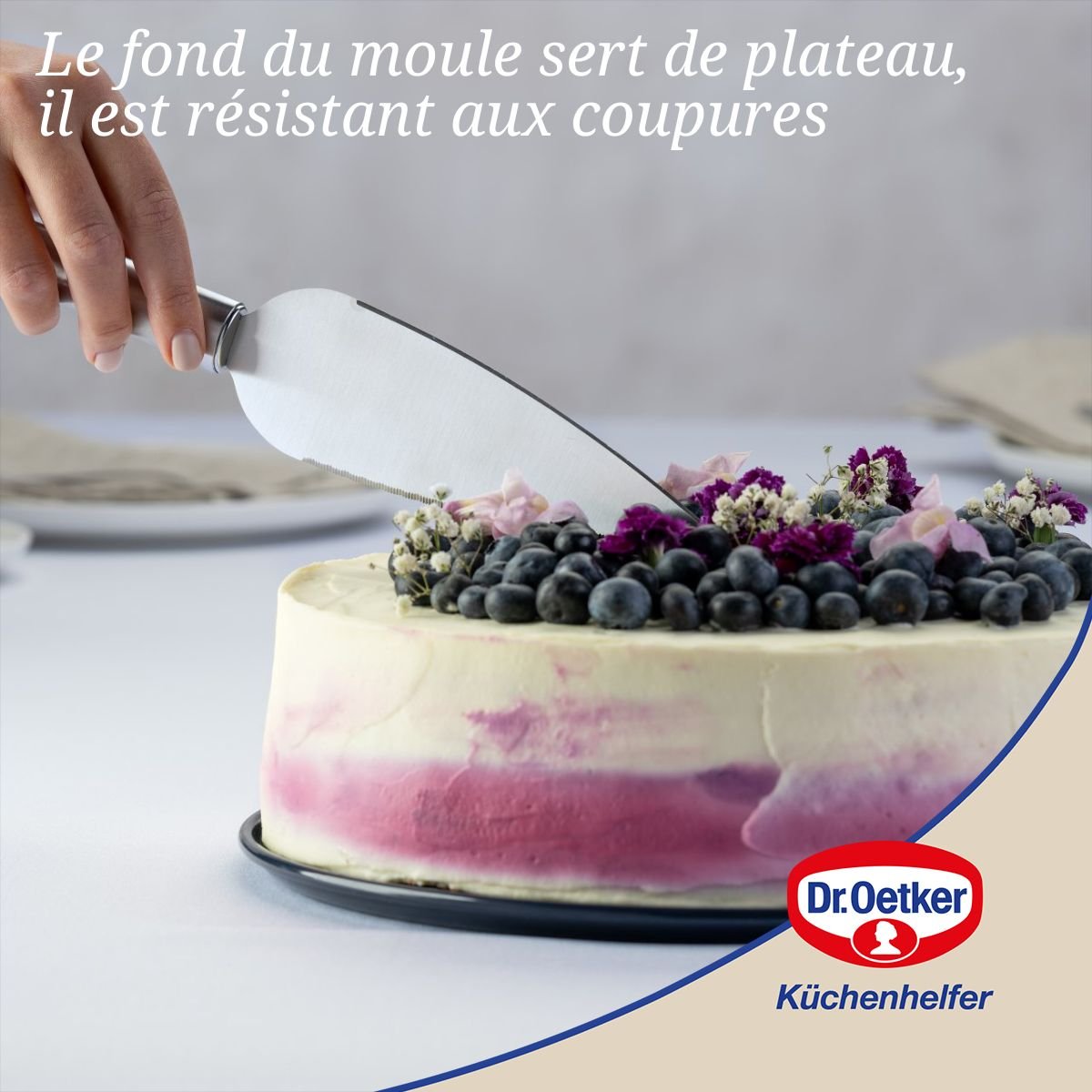 Moule à manqué à charnière BACK LIEBE bleu, DR OETKER