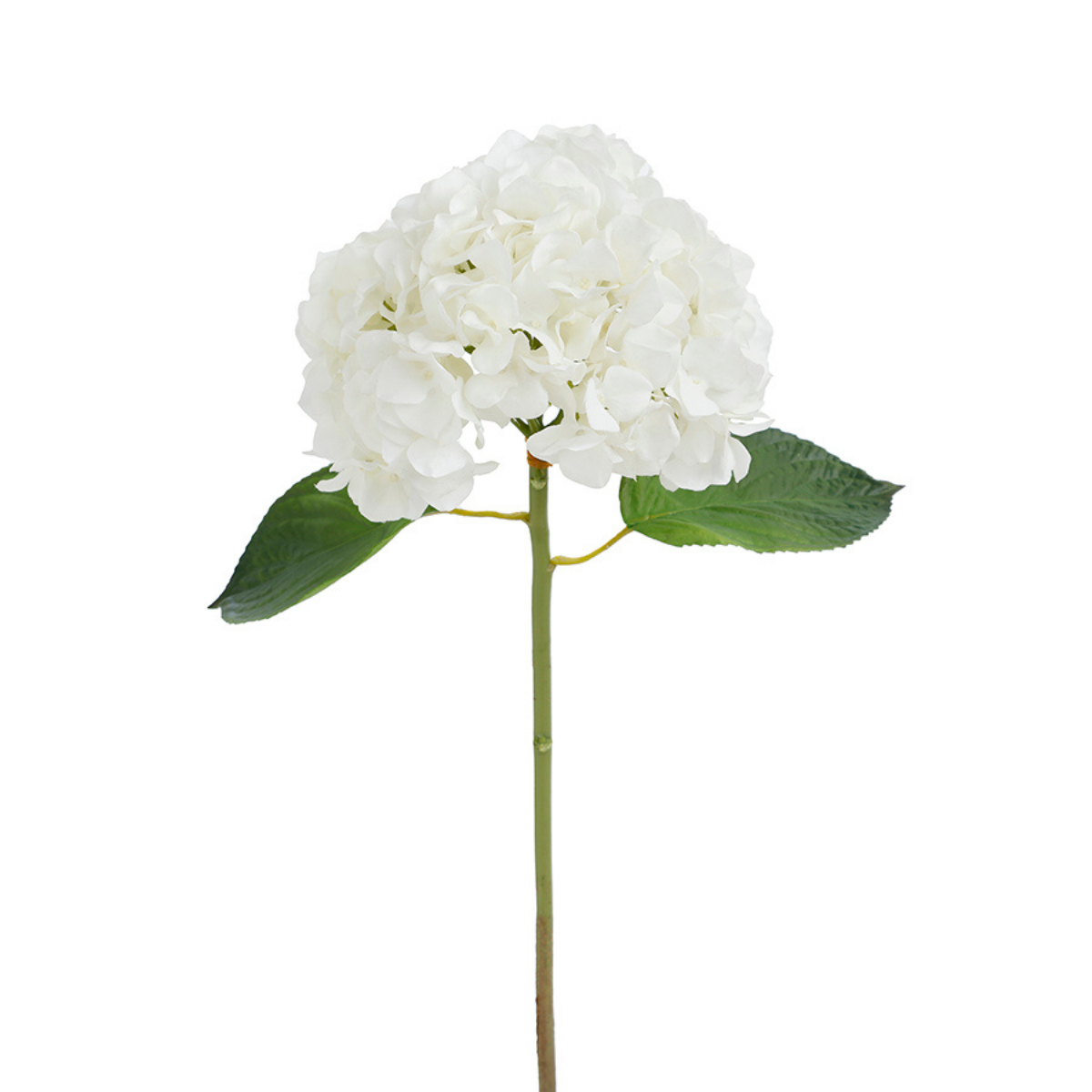 Tige d'hortensia avec feuilles artificielles H45 PREMIUM blanc, SIA DECO