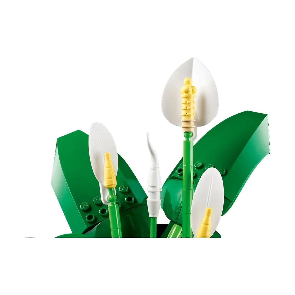 Botanicals Les fleurs de lune multicolore, LEGO