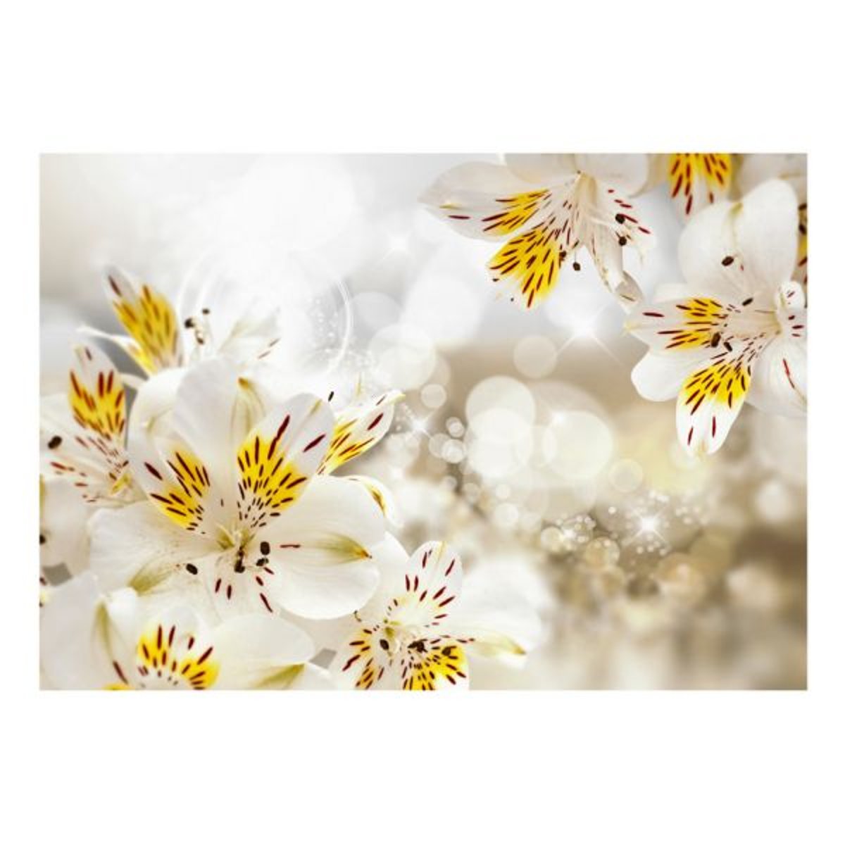 Papier peint intissé panoramique Fleurs Sunny Alstroemeria blanc, EDEN