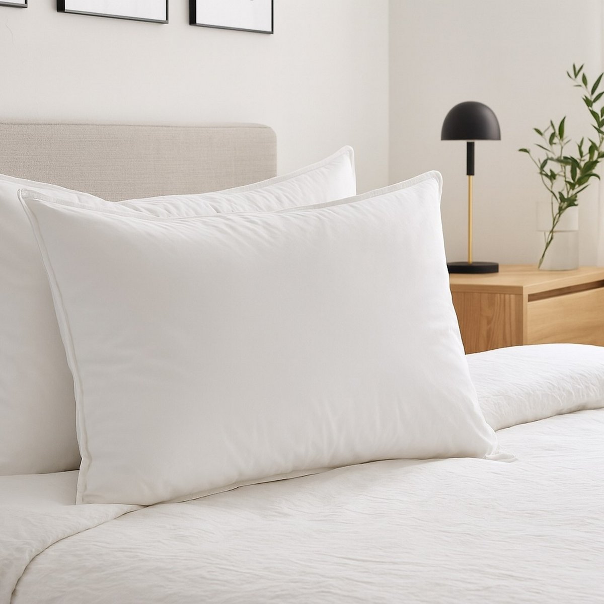Lot 2 oreillers 50x70 cm Coton et Plumes de canard Blanc blanc, EDEN