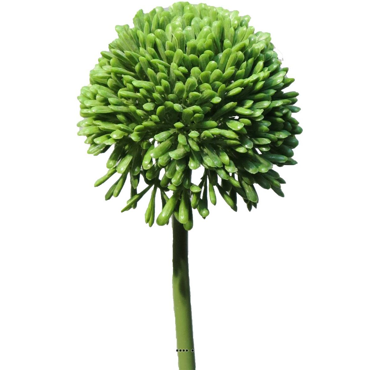 Allium artificiel en tige H 45 cm Vert vert, ARTIFICIELLES