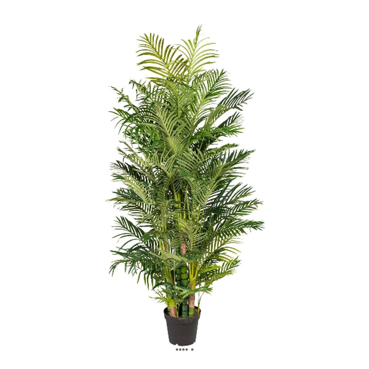 Palmier Areca artificiel H 220 cm 13 troncs vert, ARTIFICIELLES