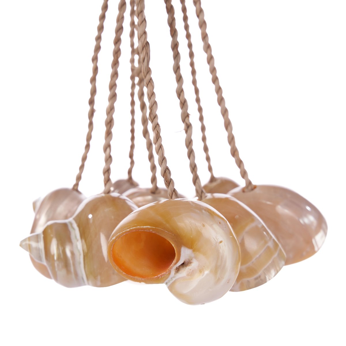 Décoration murale en coquillages CONCH beige, BAZAR BIZAR