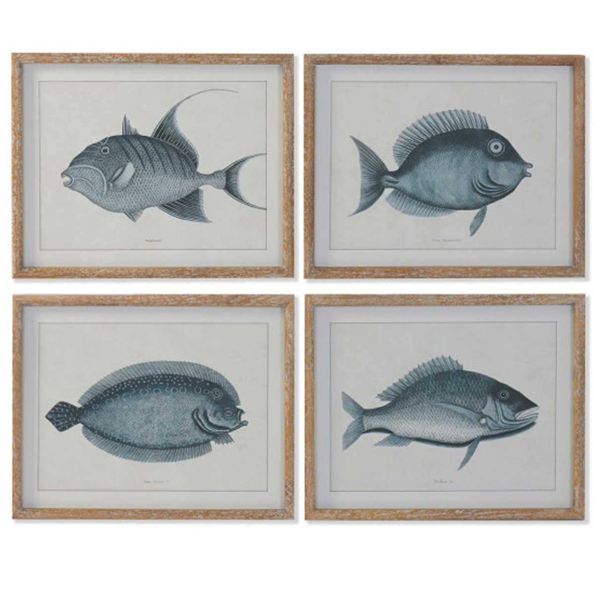 Set de 4 cadres décoratifs poissons 50x3x40cm noir & blanc, WADIGA
