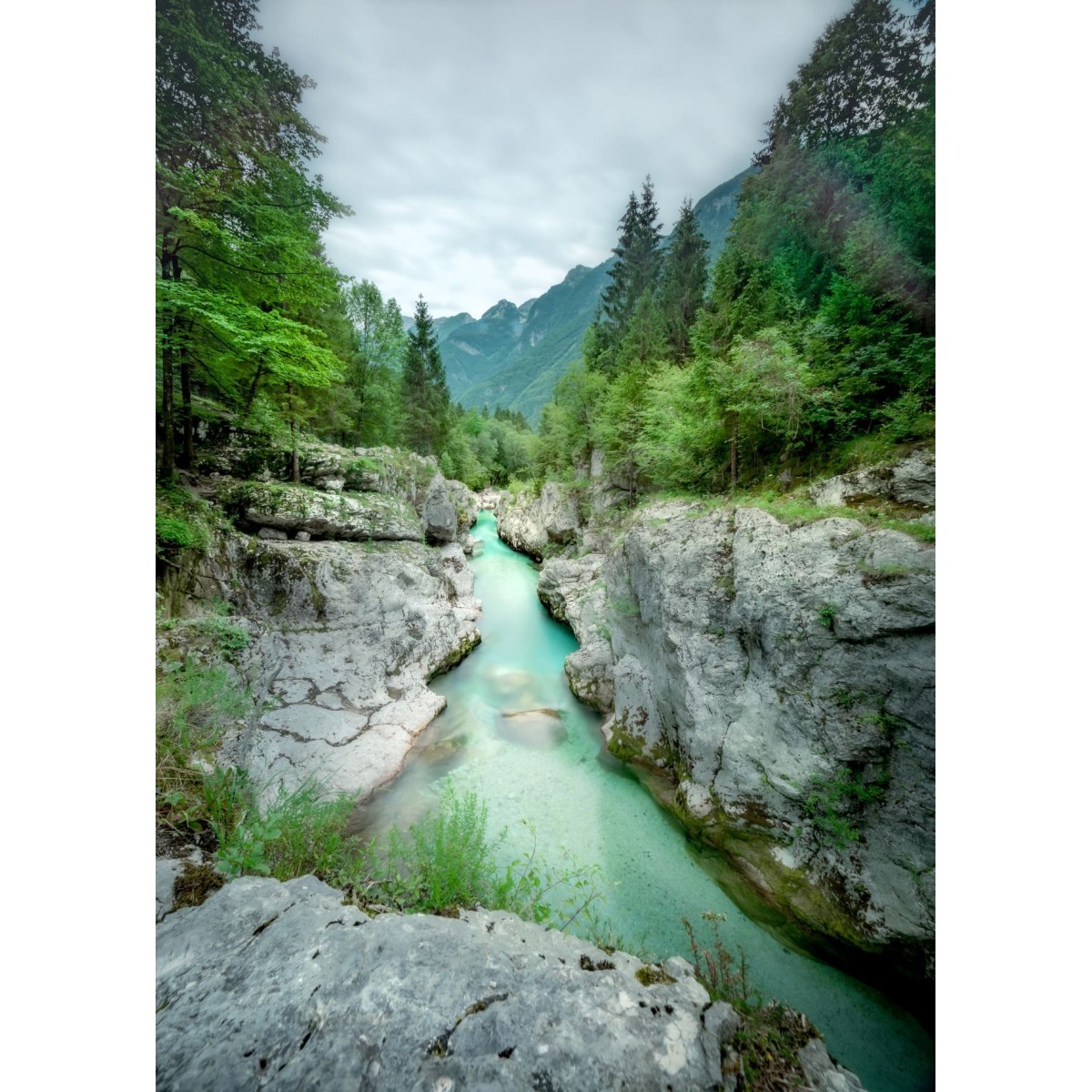 Tableau Mural Gorge FORÊT tableaux sur toile-vert, CEANOTHE