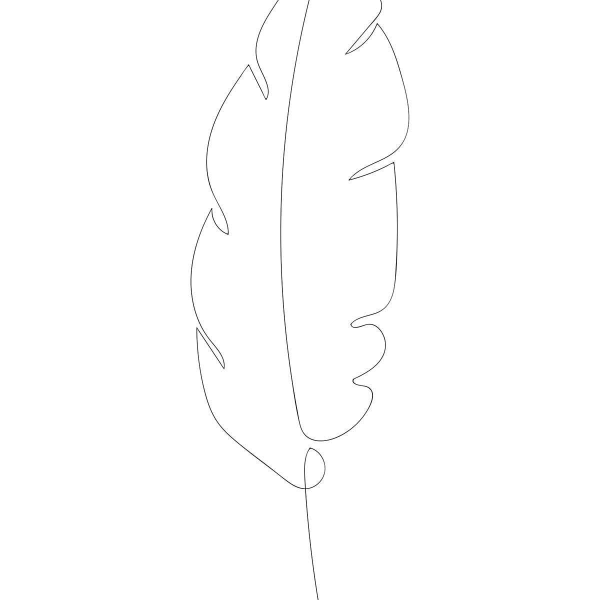 Tableau plume en croquis tableau alu dibond, HEXOA