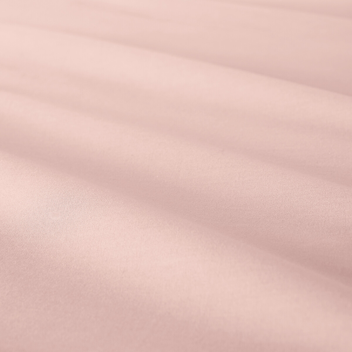 Scenario Plain Cotton Percale 200 Thread Count Flat Sheet powder pink, LA REDOUTE INTERIEURS