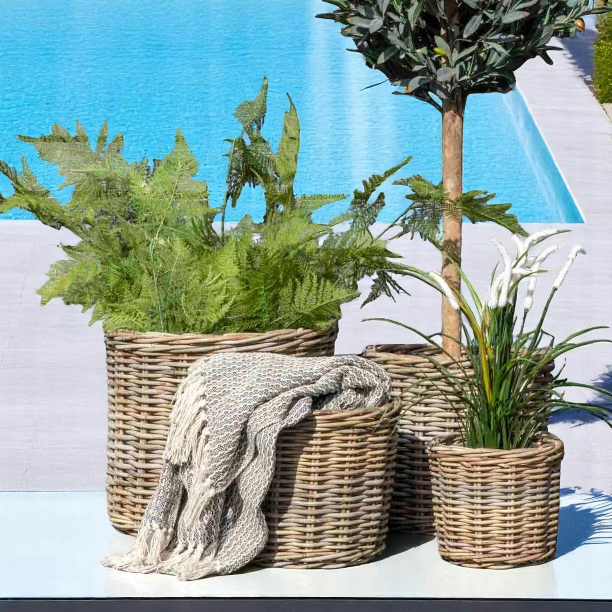 Cache-pot en rotin pour plantes vertes (lot de 4) beige, PIER IMPORT