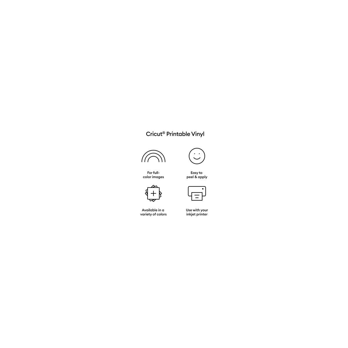 Accessoire Printable Vinyl A4 - 10 sheets (Silver) couleur unique, CRICUT