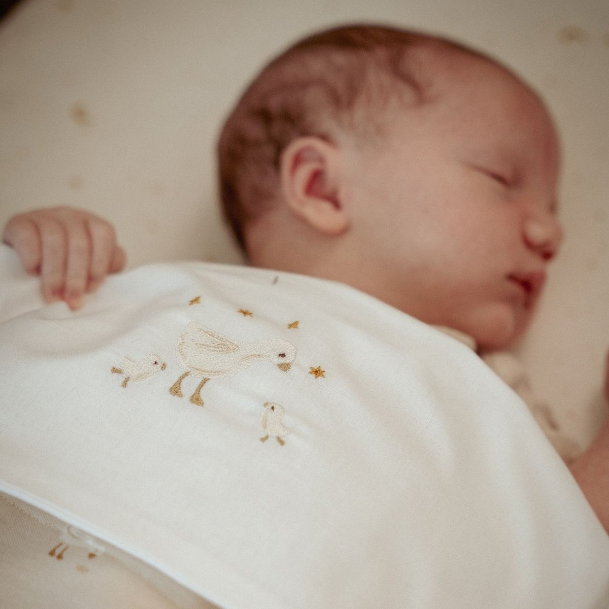 Drap de berceau blanc, beige, LITTLE DUTCH