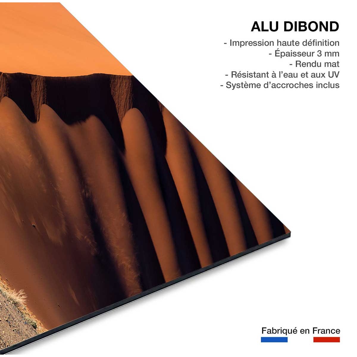 Tableau L'arbre sur la dune, Namibie tableau alu dibond, HEXOA