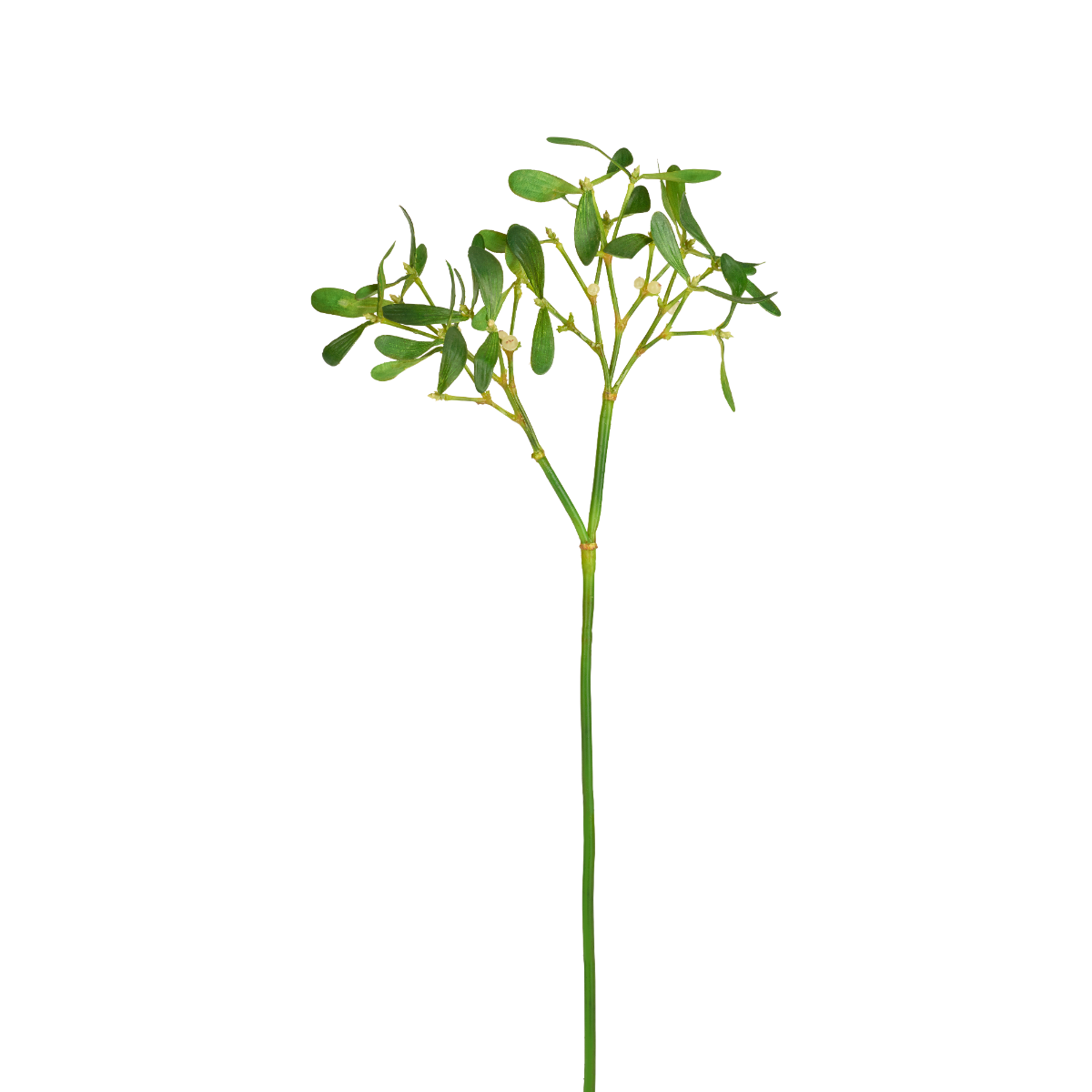 Branche de gui artificielle H68 vert, SIA DECO