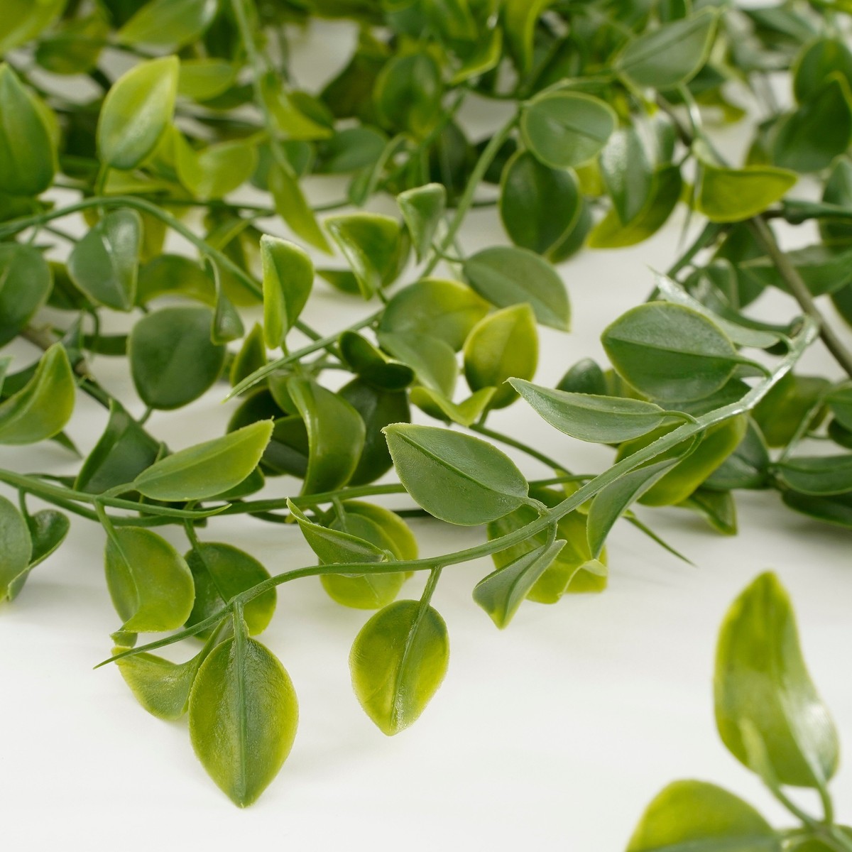 Plante artificielle FICUS vert, MICA DECORATIONS