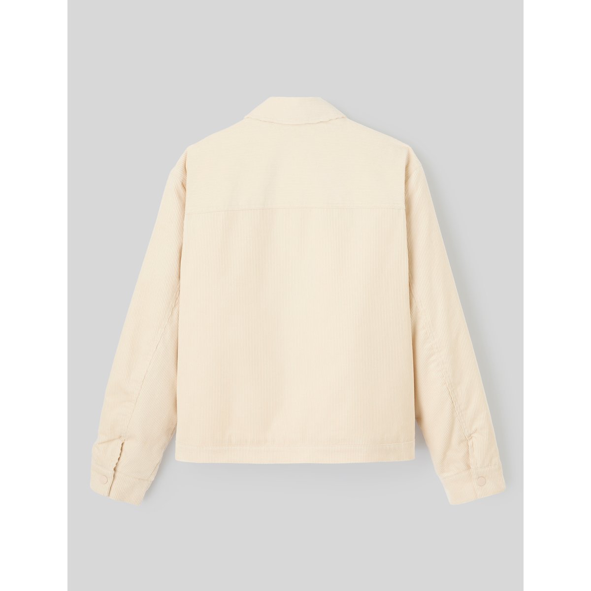 Veste zippée unie naturel, BZB
