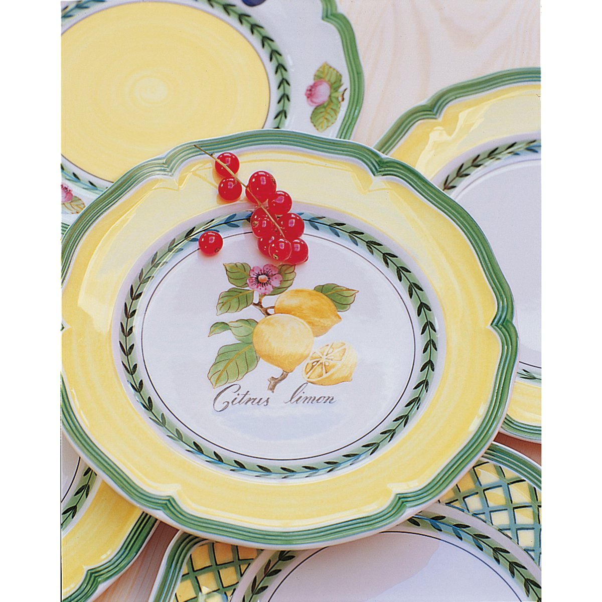 Assiette À Dessert FRENCH GARDEN multicolore, VILLEROY & BOCH