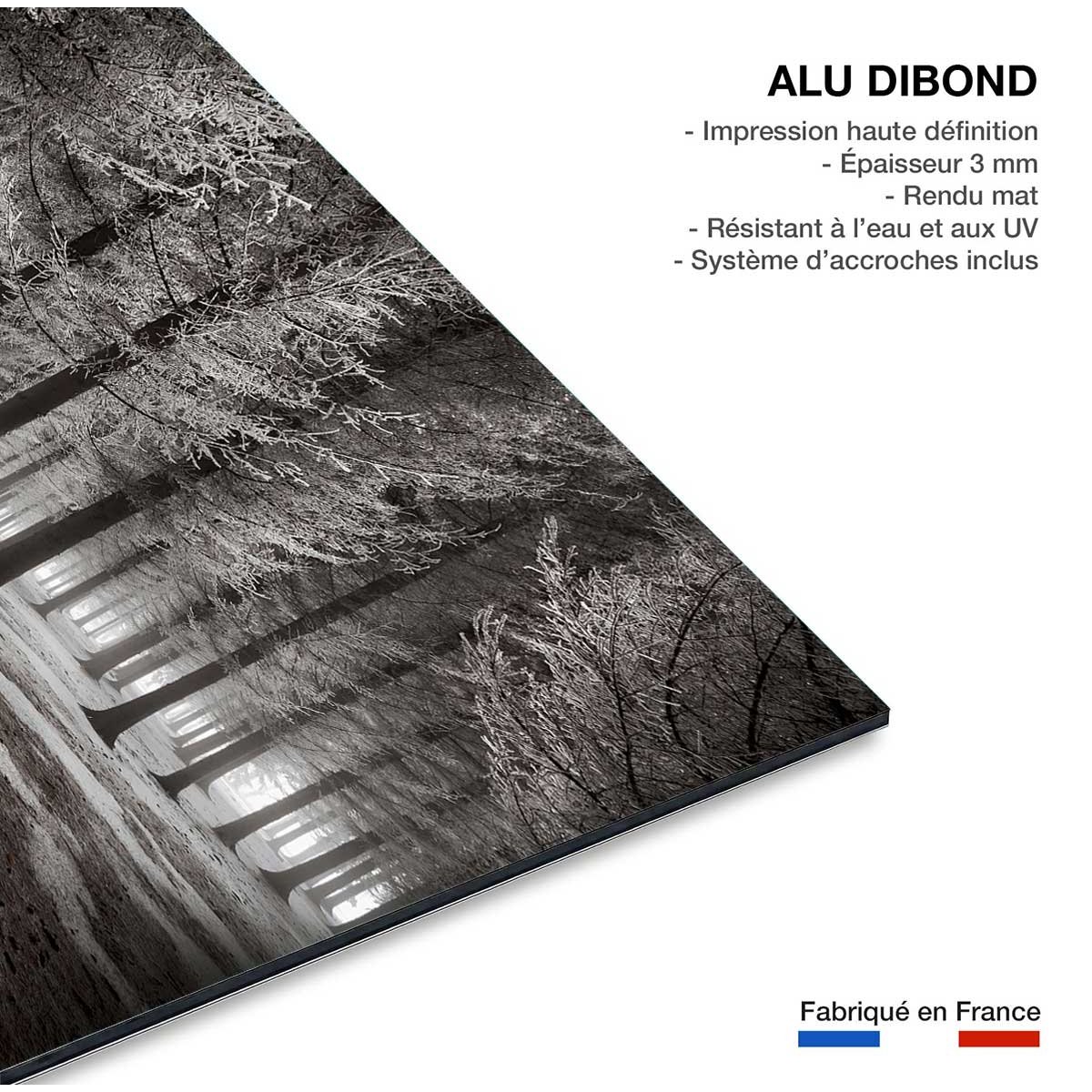 Tableau deco debut d'hiver tableau alu dibond, HEXOA
